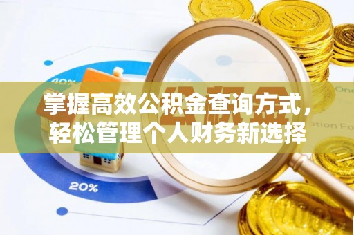 内门掌握高效公积金查询方式，轻松管理个人财务新选择