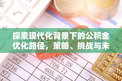 内门探索现代化背景下的公积金优化路径，策略、挑战与未来展望