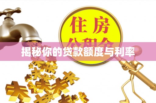 内门揭秘你的贷款额度与利率
