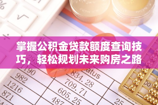 内门掌握公积金贷款额度查询技巧，轻松规划未来购房之路