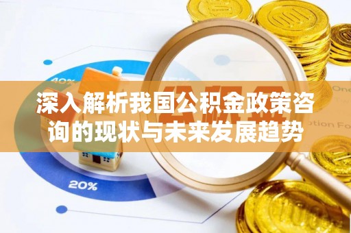 内门深入解析我国公积金政策咨询的现状与未来发展趋势