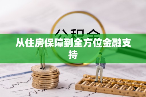 内门从住房保障到全方位金融支持